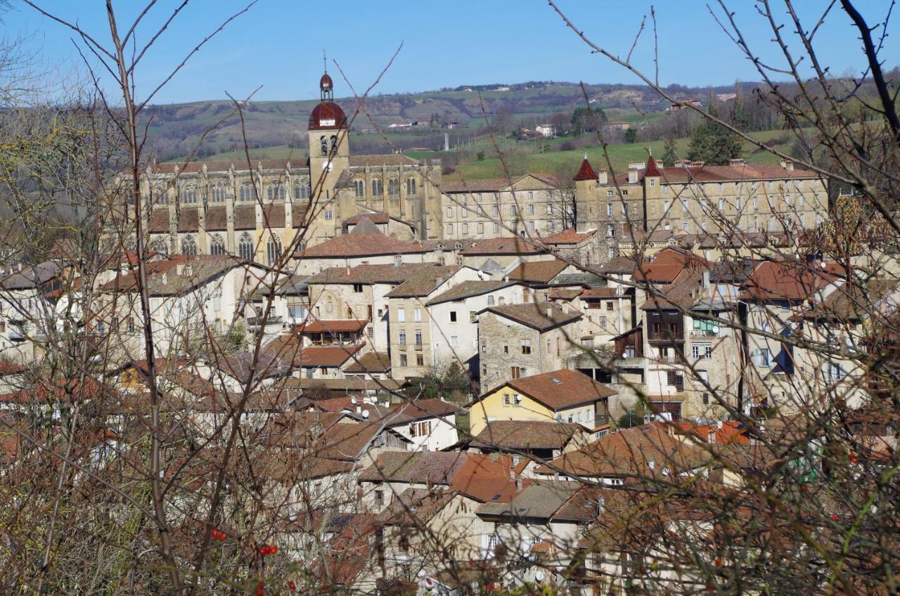 La Miellerie Saint-Antoine (Isere) Exterior foto